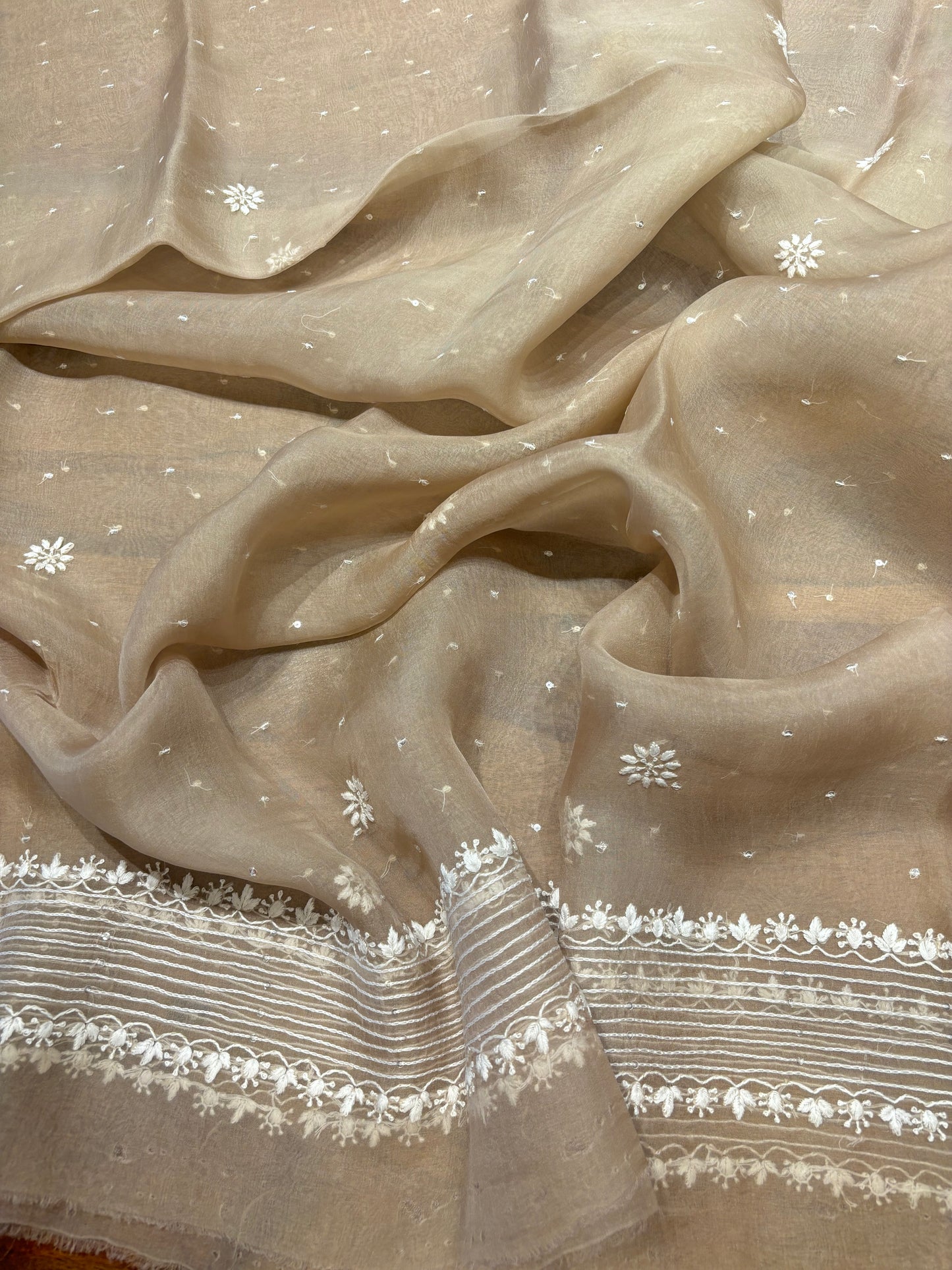Coffee Latte Organza Silk Chikankari Kurta and Dupatta