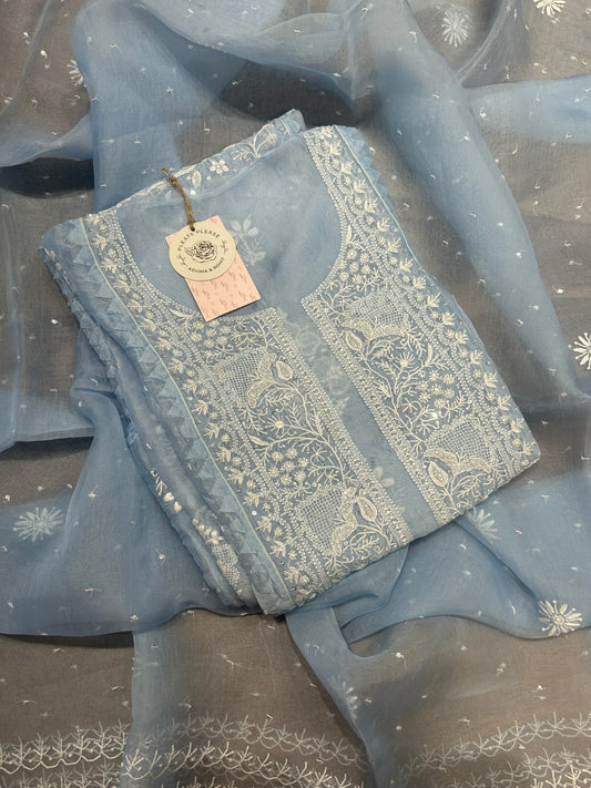 Blue Organza Silk Chikankari Kurta and Dupatta