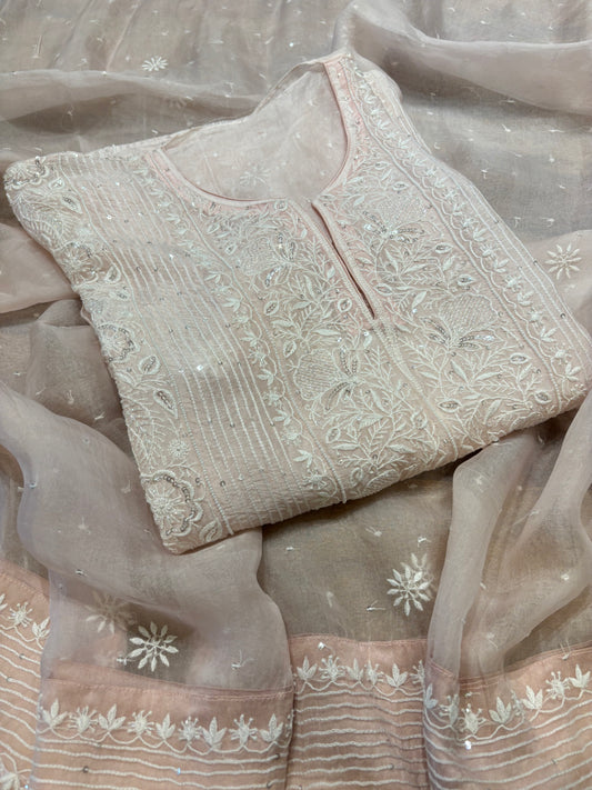 Blush Pink Organza Silk Chikankari Kurta and Dupatta