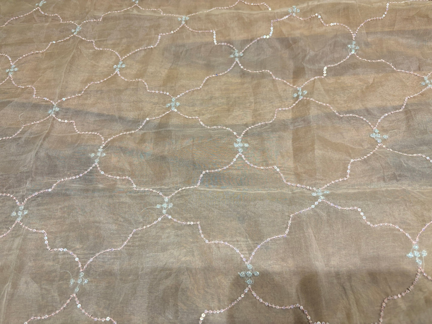 Peach Organza Silk Chikankari Saree and Blouse
