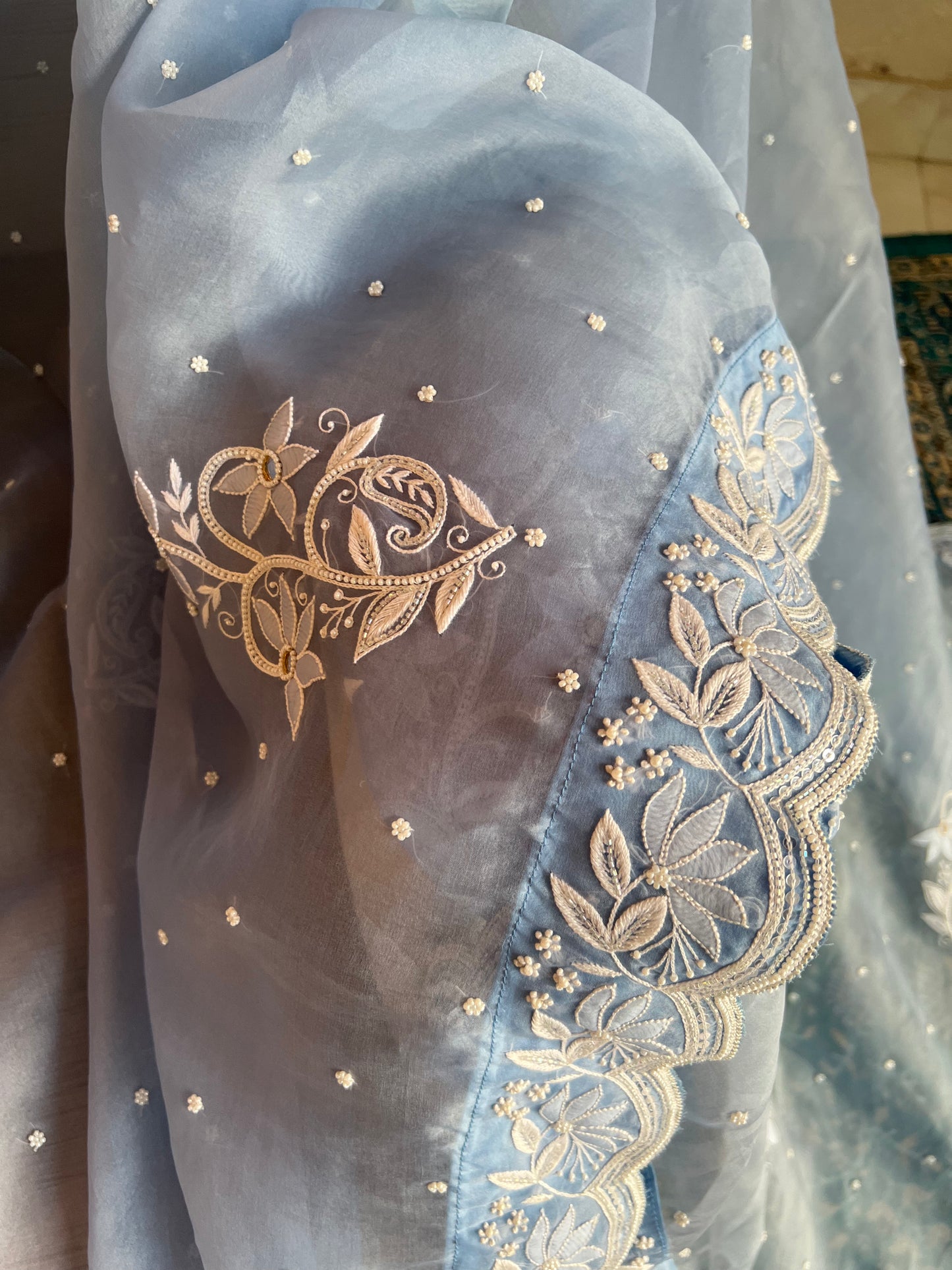 Sky Blue Organza Chikankari Saree and Blouse