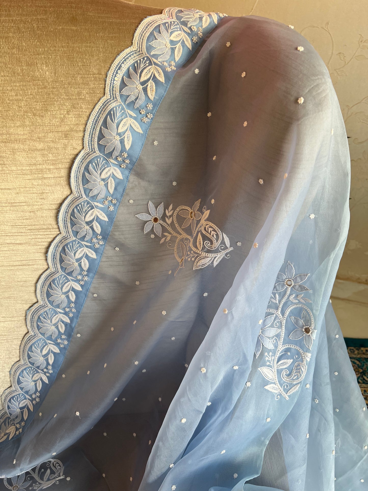 Sky Blue Organza Chikankari Saree and Blouse