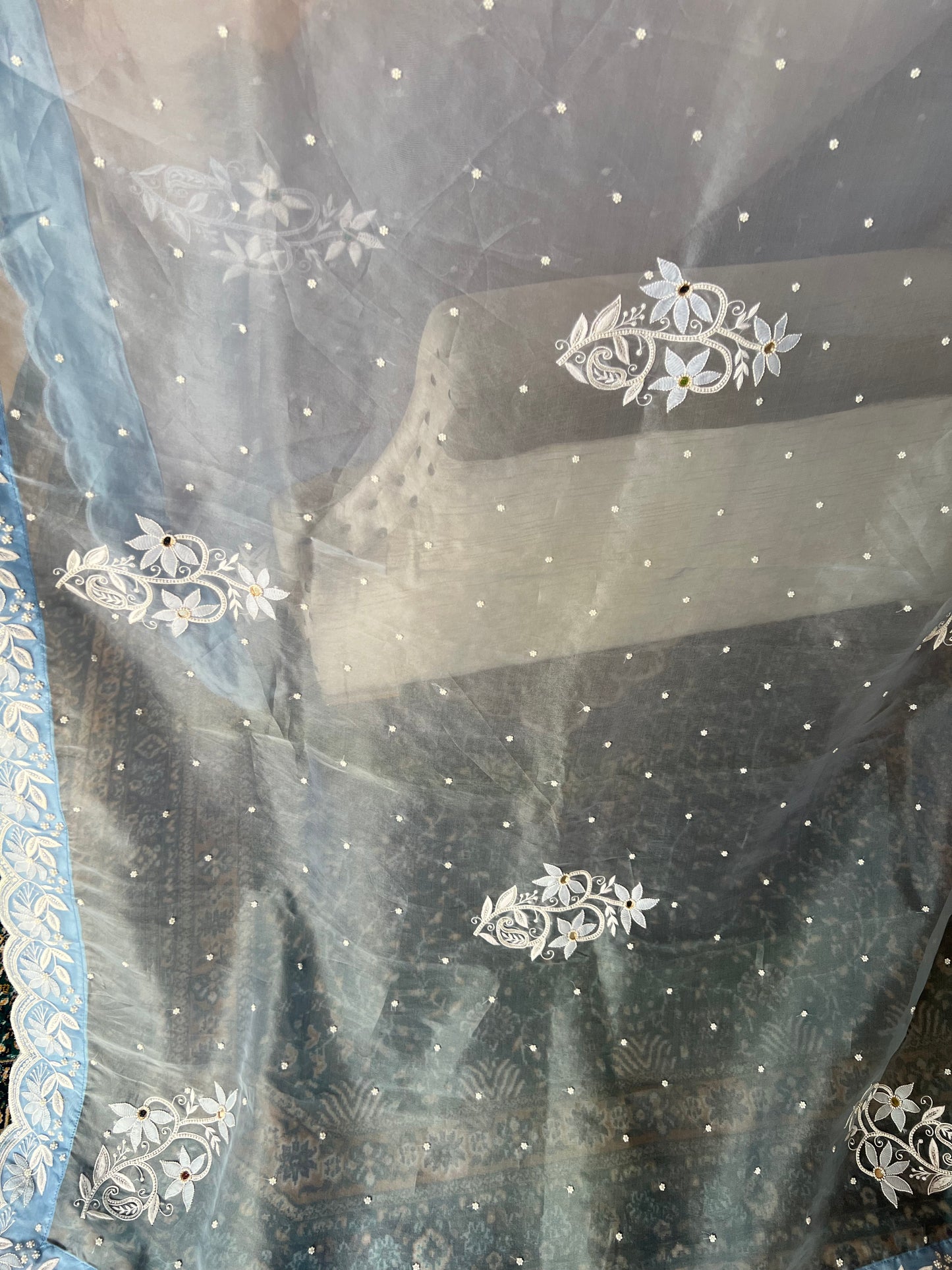Sky Blue Organza Chikankari Saree and Blouse